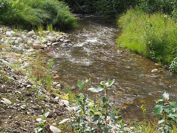 Wasilla Creek