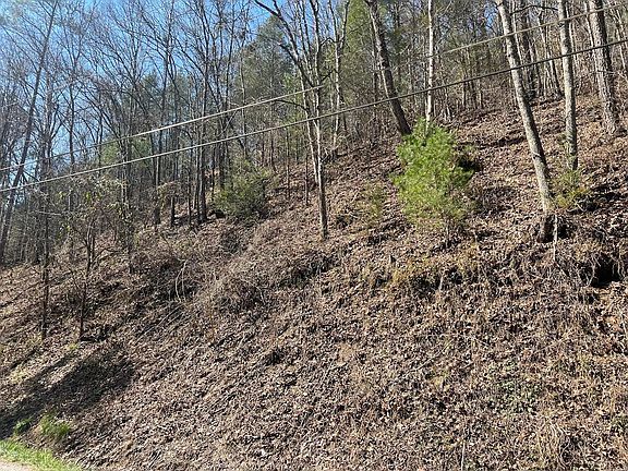 2nd image of LOT 56/57 Hidden Hollow Way