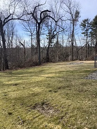 80 Carmel Rd #3 — Photo 16