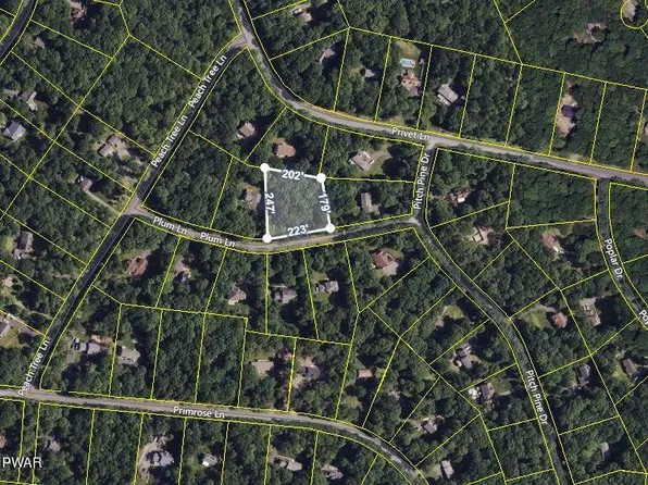 Plum Ln, Milford, PA 18337