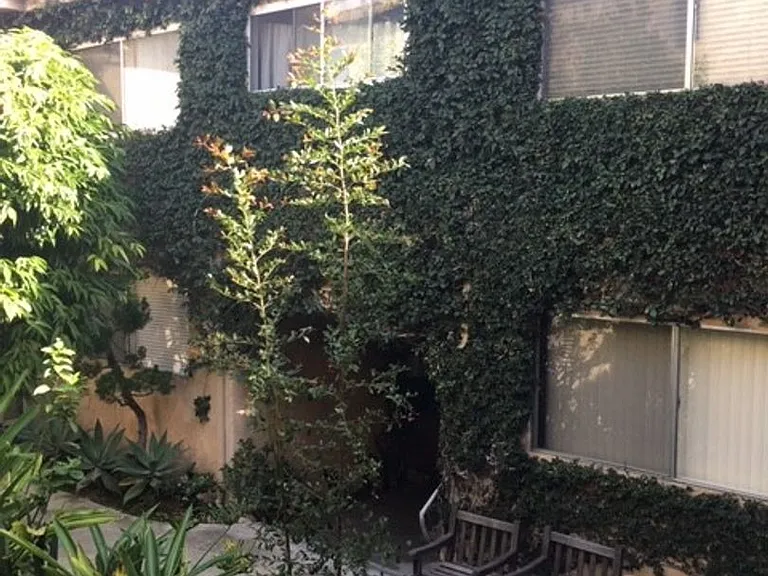 27 Westminster Ave — Photo 10