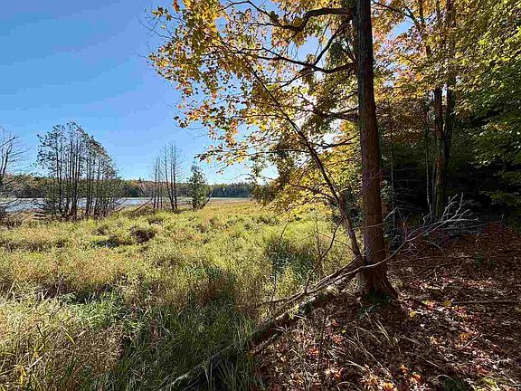 3rd image of 35395 Rybaskis Rd