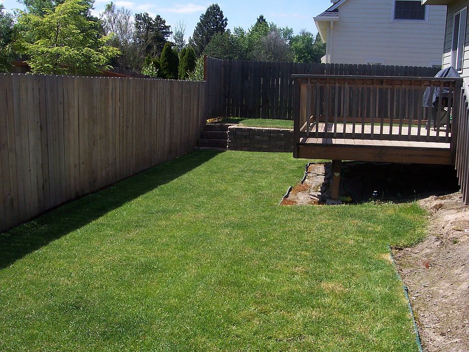 Back yard 