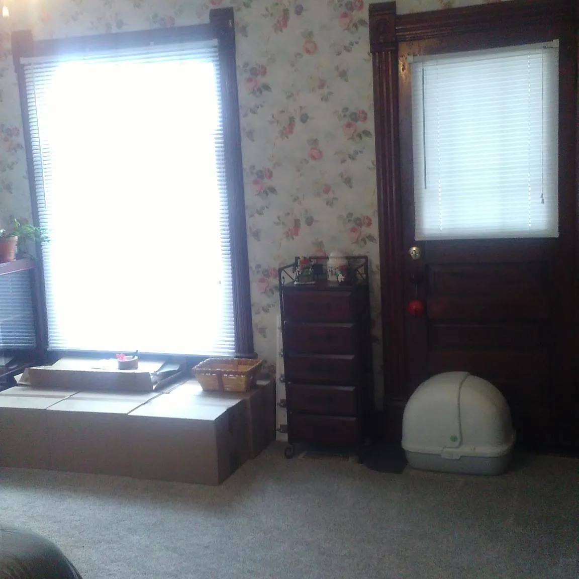 2 bed, 700 sqft, $900 — Photo 1