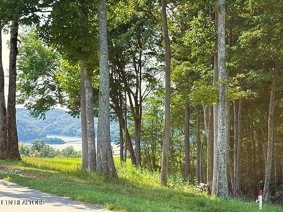 2nd image of 41 Bald Eagle Rd