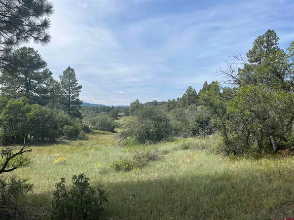 257 E Arbol Park Drive, Chromo, CO 81128
