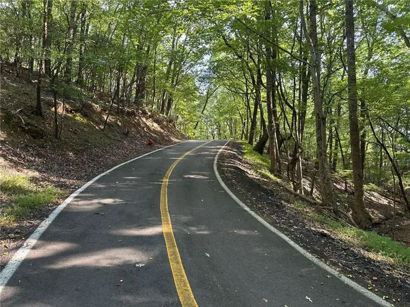 1321 Coachwhip Ct, Jasper, GA 30143