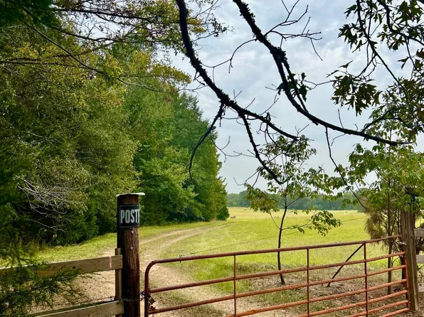 Lewis Rd, Lexington, MS 39095