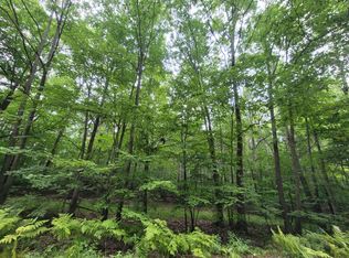 W Weaver Rd, Shelby, MI 49455