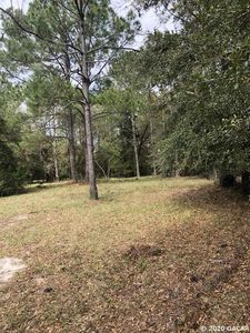 10112 SW 135th St, Archer, FL, 32618