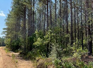 PARCEL Old River Rd #B, Moselle, MS 39459