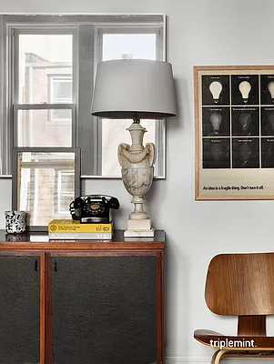 Sold by Triplemint | media 6