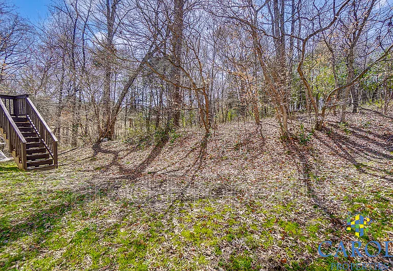1015 Alston Hill Dr — Photo 46