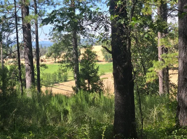 12042 Bitney Springs Rd, Nevada City, CA 95959