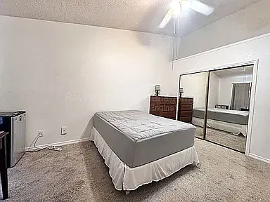 1 bed, 1365 sqft, $900 — Photo 3