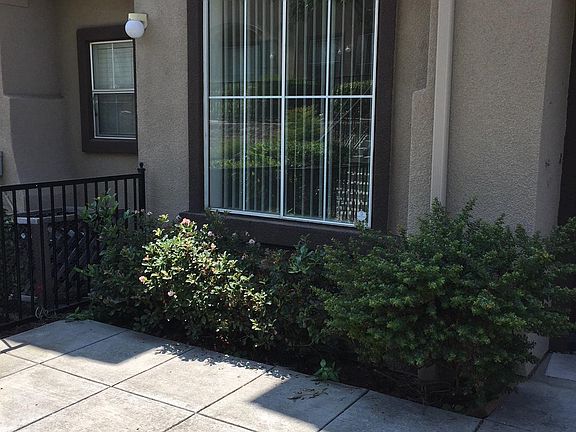 2nd image of 3266 Sangiovese Pl