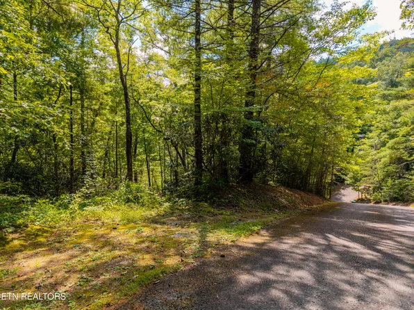 267 Cobblestone Dr, Townsend, TN 37882