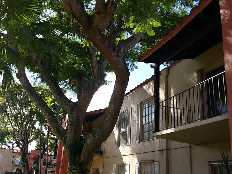 10786 N Kendall Dr #D14 — Photo 12