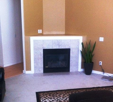 4th image of 11009 183rd Avenue Pl