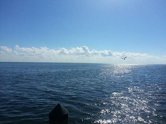 4th image of 3500 Coquina Key Dr SE