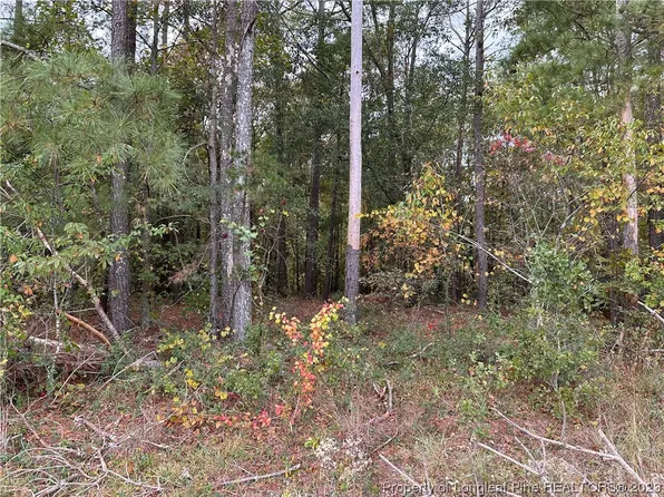 1 Matilda Dr, Lumberton, NC 28360