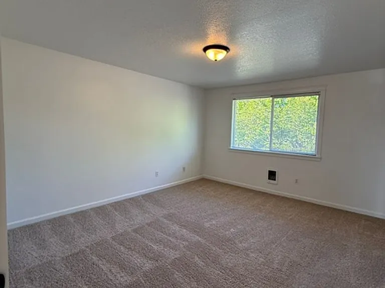 TLD184 — Photo 6