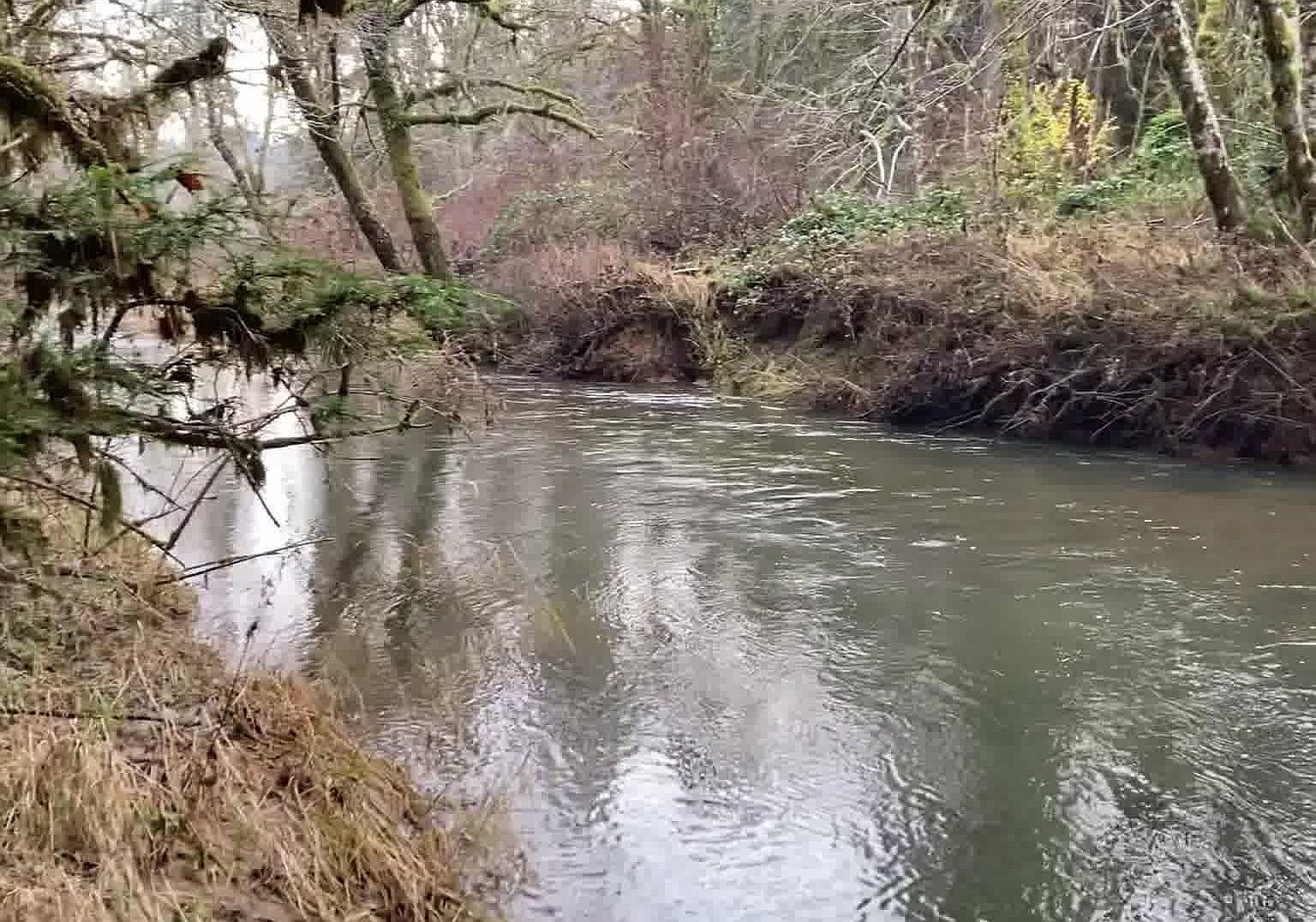 SW Hebo Rd 2890, Grand Ronde, OR 97347 Zillow