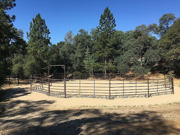 Round Pen