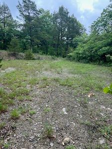 10168 Lake Ridge Dr, Hillsboro, MO, 63050
