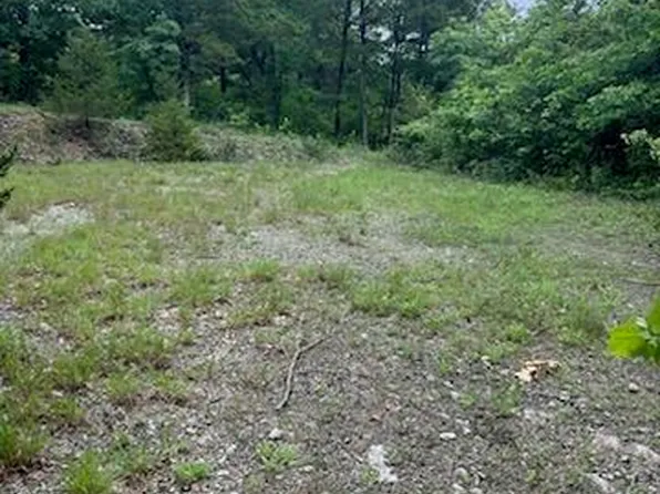 10168 Lake Ridge Dr, Hillsboro, MO 63050