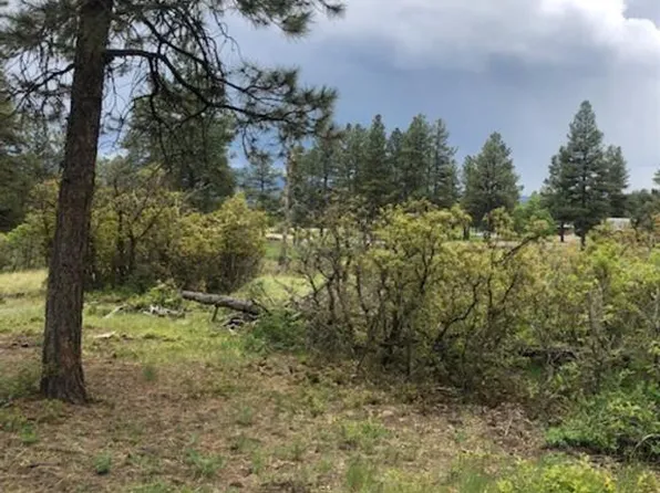 201 Rainbow Drive, Pagosa Springs, CO 81147