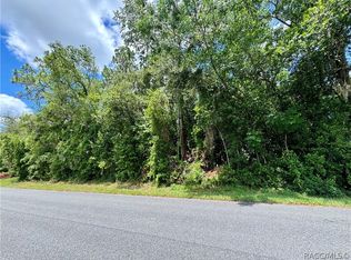 6 Jungleplum Ct S, Homosassa, FL 34446