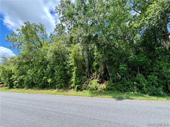 6 Jungleplum Ct S, Homosassa, FL 34446