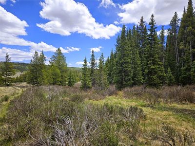 PCS#10594 Looney Lane, Alma, CO, 80420