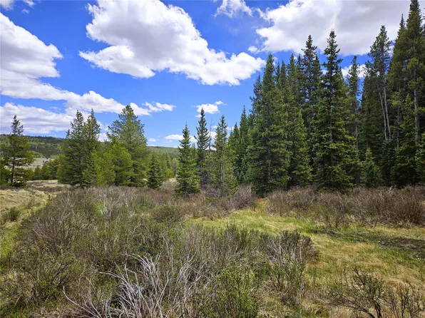 PCS#10594 Looney Lane, Alma, CO 80420