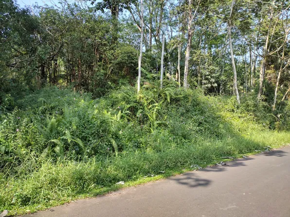 Maile St Lot 55, Pahoa, HI 96778