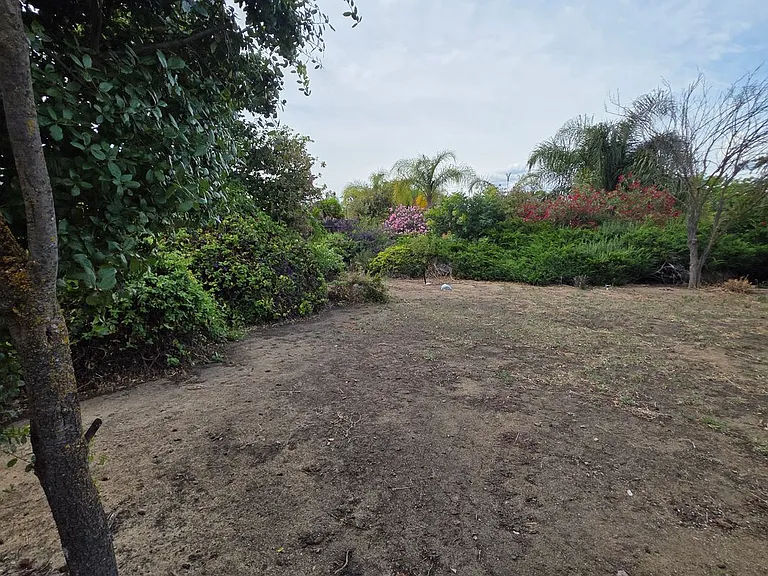4199 Sequoia Dr — Photo 17
