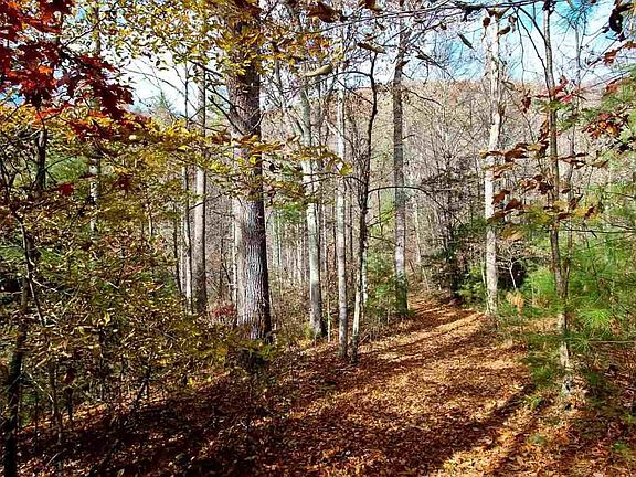 2nd image of 2737 Laurel Fork Rd Lot 0