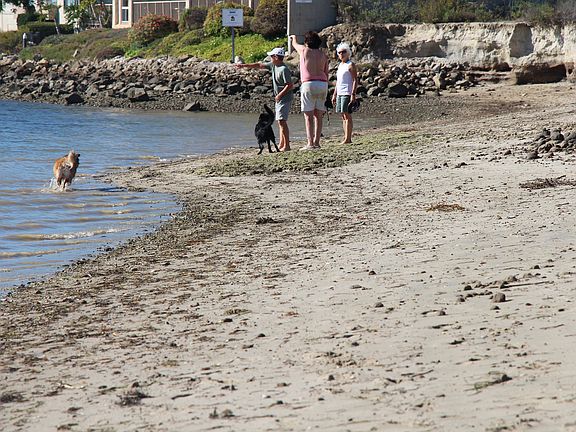 All water sports avaiable