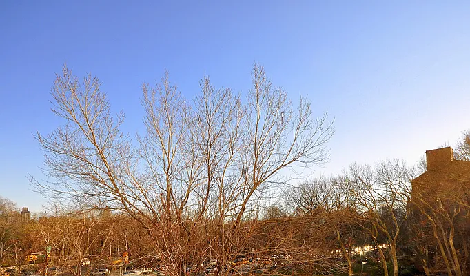 Sold by Carol E Levy | media 42