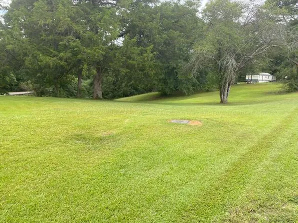 County Road 304, Lynn, AL 35575