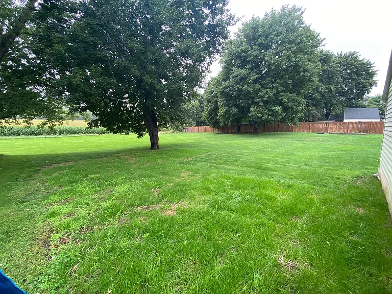 Spacious backyard