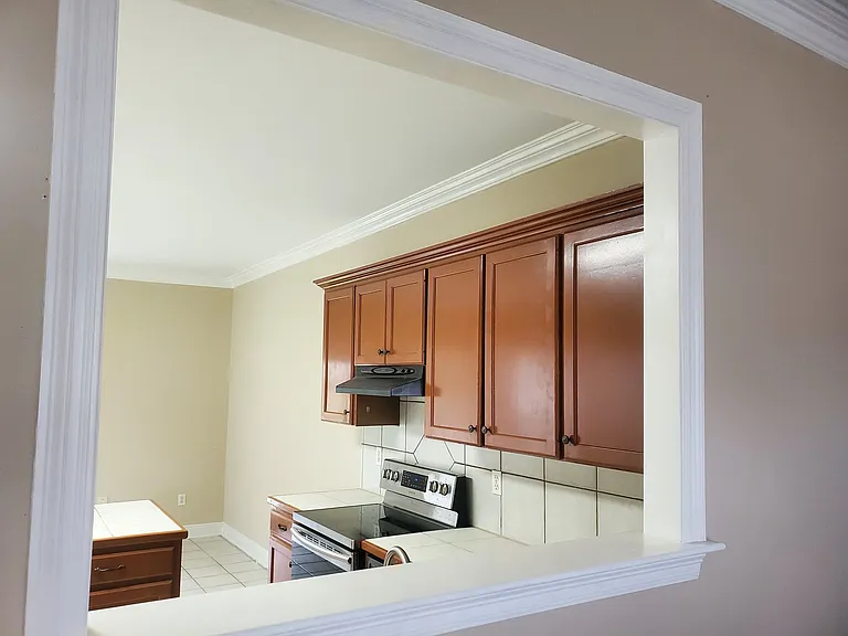 107 Olive Vista Dr — Photo 16