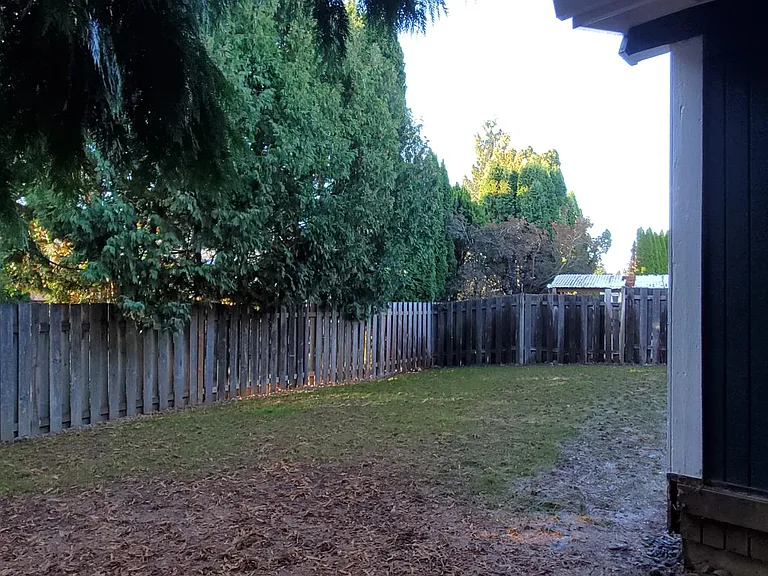 Side yard