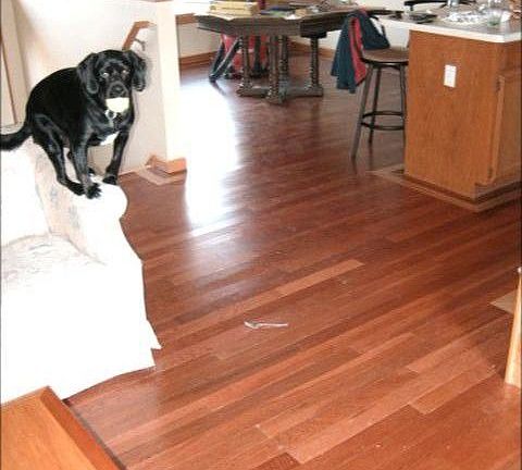 Hardwood floor on main level