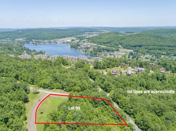 99 Black Diamond Ct, Mc Henry, MD 21541