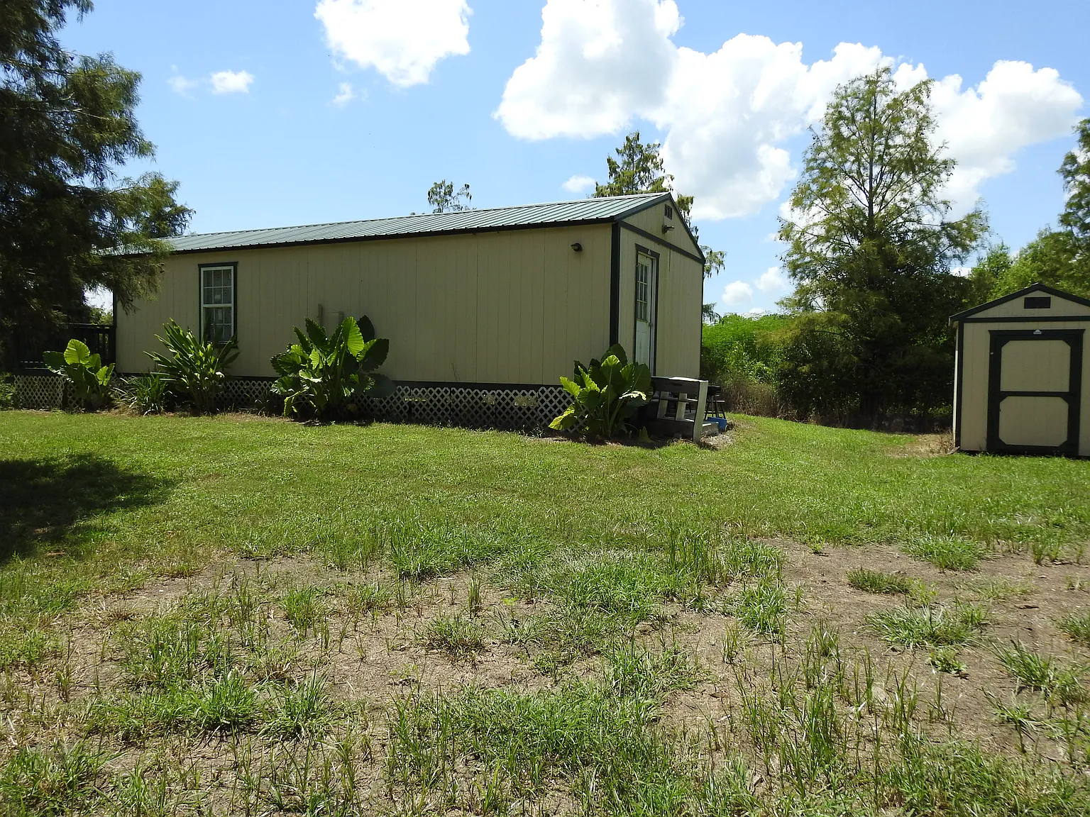 1 bed, $950 — Photo 3