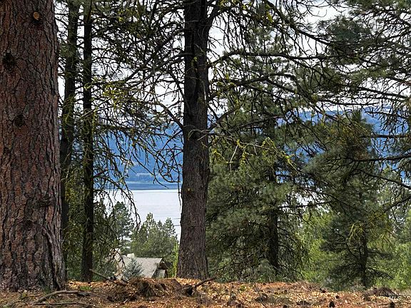 2nd image of 1483 Pine Lakes Ranch Dr
