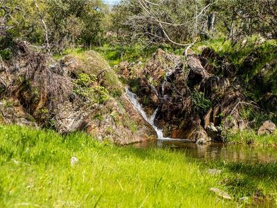 10777 Walker Trail Rd, Copperopolis, CA, 95228