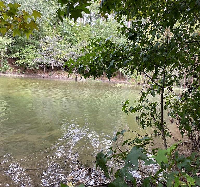 1st image of Lot 63 Petigru Circle
